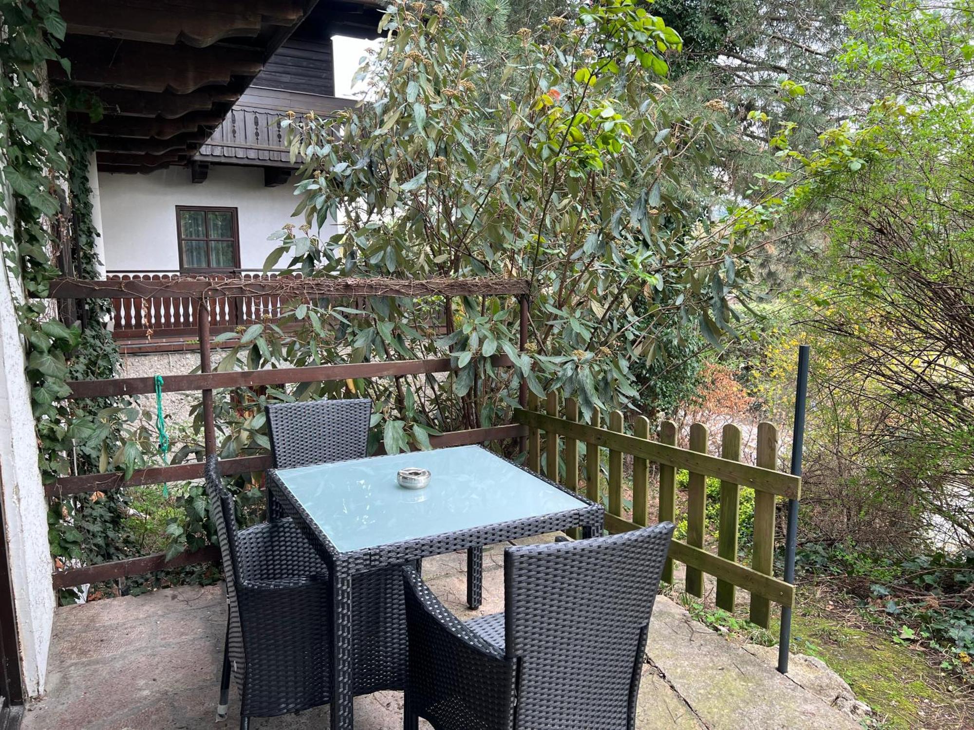 Studio Mit Gartenterrasse Salzburg Ngoại thất bức ảnh